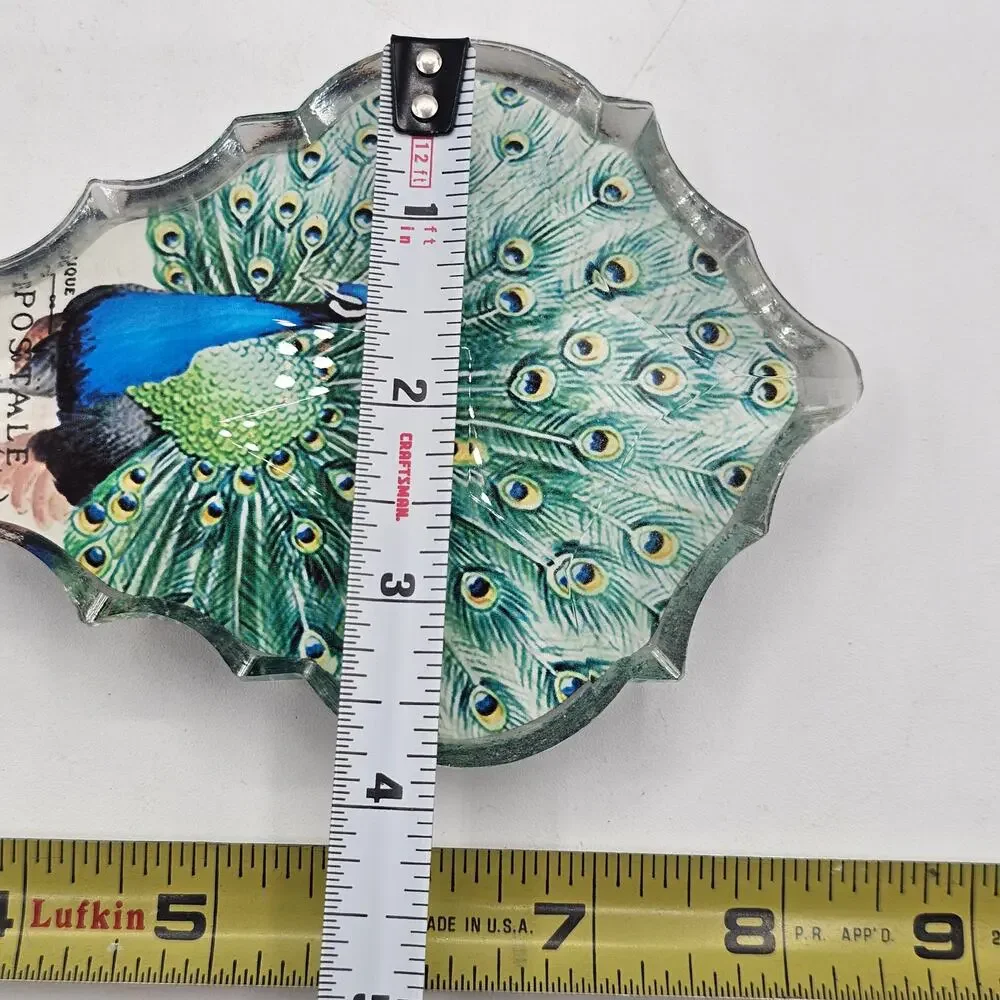 Pier 1 acrylic peacock